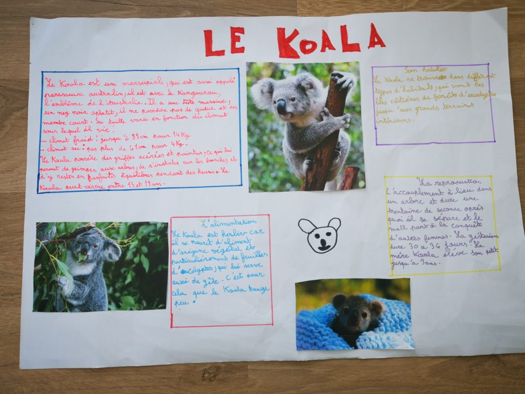 Des exposés sur les animaux en CE2CM1 Ecole SacréCoeur Plougonvelin — free download